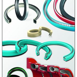 Spring Energized Seal- (SES)